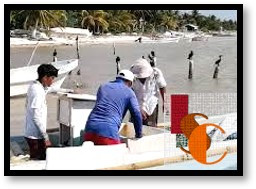 Pescadores de Calkiní se manifestarán ante saqueo de especies marinas.